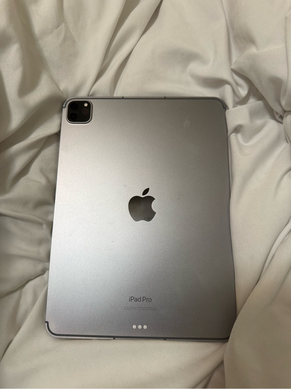 Apple iPad Pro 11inch 4th generation Silver Back with Space Gray Apple Logo
